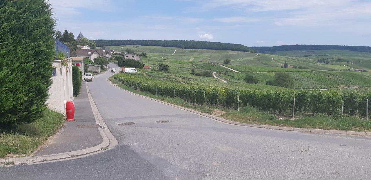 Flor'Ever En Champagne Fleury-la-Riviere Bagian luar foto