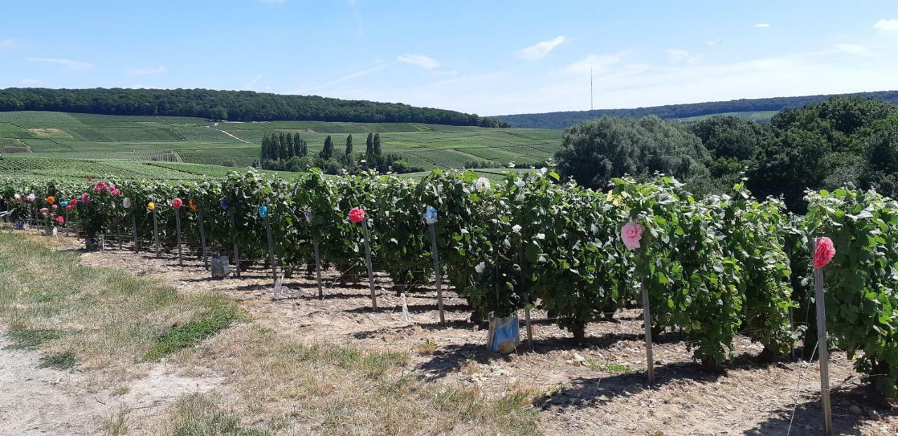 Flor'Ever En Champagne Fleury-la-Riviere Bagian luar foto